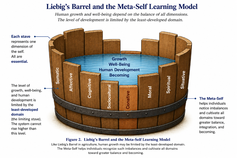 Liebig's Barrel and the Meta-Self Learning Model — eight wooden staves around water labelled Growth, Well-Being, Human Development, Becoming; the shortest stave, Conative, limits how high the water can rise.